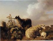 unknow artist Sheep 150 Germany oil painting artist